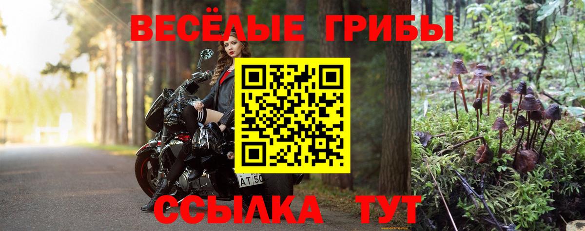 Псилоцибиновые грибы мицелий Тула